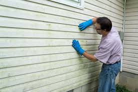 Best Insulated Siding Installation  in Drumright, OK